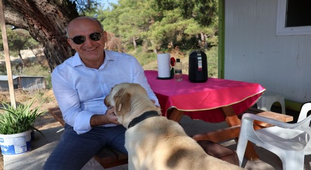 Türkiye 91 Ülkeye Kedi Maması İhraç Ediyor