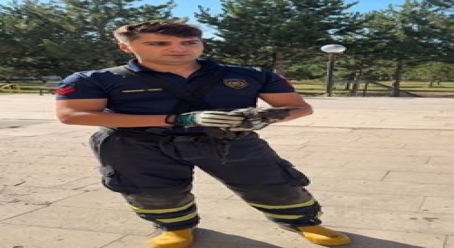 Tuvalete düşen kedi uzun uğraşlar sonucu kurtarıldı