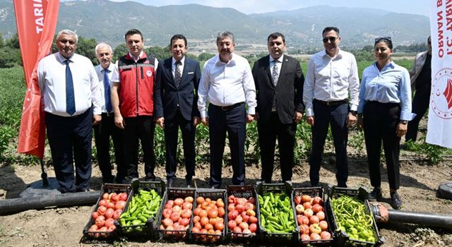 Vali Yılmaz, Domates ve Biber Hasadına Katıldı