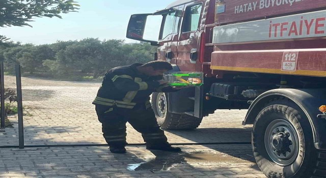 Yanan evdeki hamsteri itfaiye kurtardı