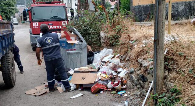 Yaylalarda ve Şehir Merkezinde Temizlik Seferberliği