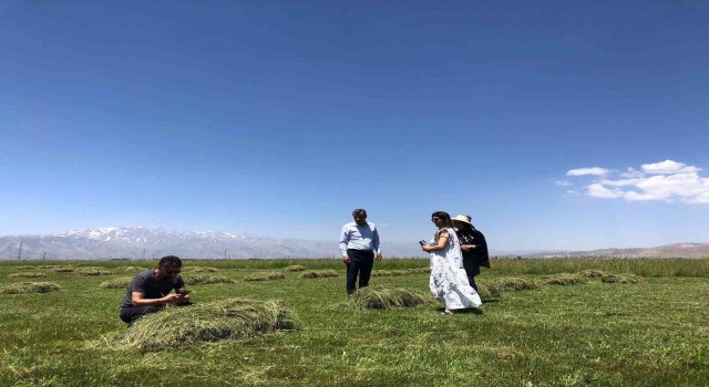 Yüksekovada yağışlar çiftçilerin yüzünü güldürdü