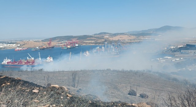 Aliağadaki orman yangını kontrol altında