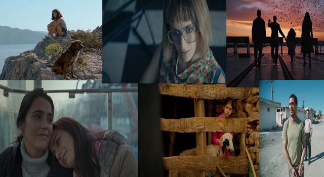 Altın Koza Film Festivali’nde Yarışacak Filmler Açıklandı