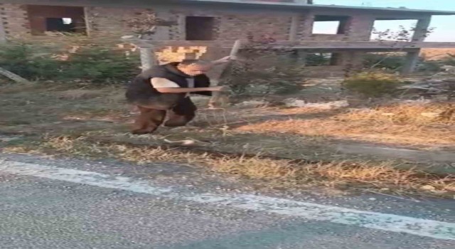 Ankaranın Polatlı ilçesinde vahşet