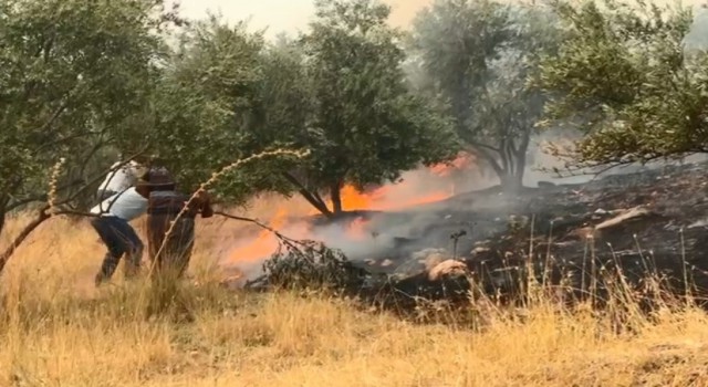 Aydındaki yangını söndürme çalışmaları sürüyor