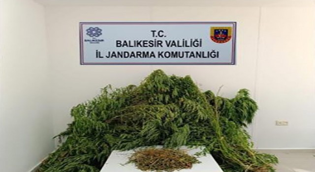 Balıkesirde uyuşturucu operasyonu, 2 şüpheli yakalandı