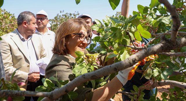 Başkan Şahin: "Her Şey Fıstık Gibi Olacak"
