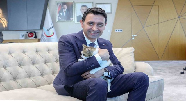 Bayraklı Belediyesi, can dostları sahiplendirme kampanyası başlattı