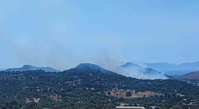 Bodrumda makilik alanda yangın