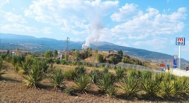 Çankırı'da orman yangını