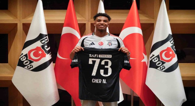 Cher Ndour, Beşiktaşta