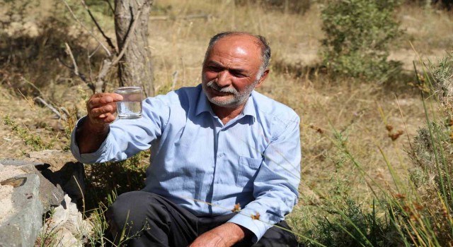 Dayanılmaz kokusuna rağmen şifa bulmak için kana kana içiyorlar