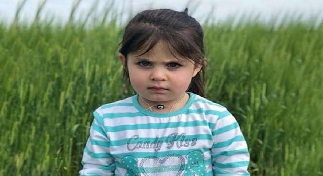 Diyarbakırda kaybolan Narin olayı akıllara minik Leylayı getirdi