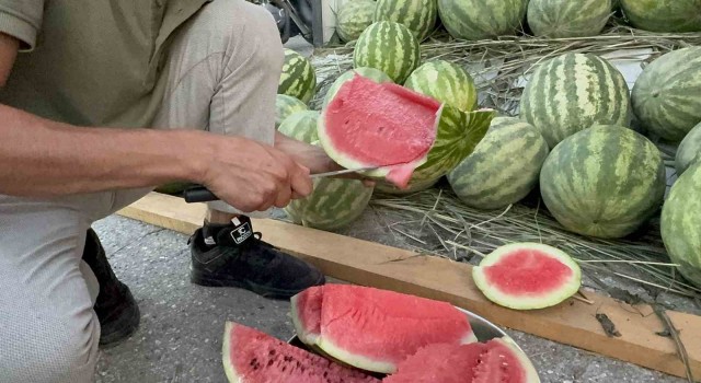 Düzcede yerli karpuz tezgaha indi