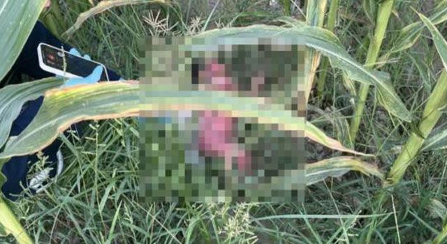 Düziçi'nde Tüyler Ürperten Olayla İlgili 1 Kişi Tutuklandı