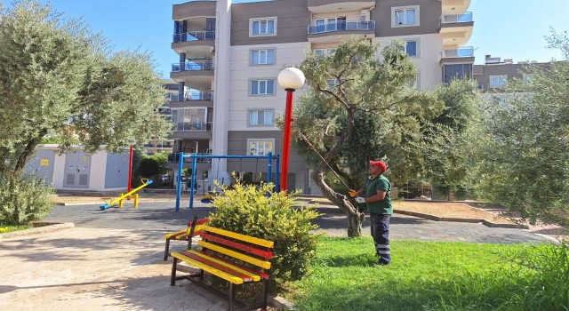 Efelerin parkları yenileniyor