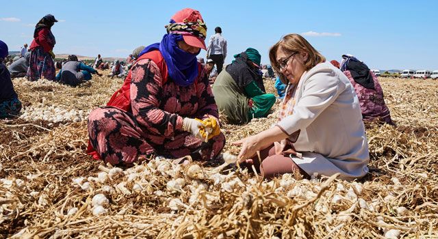Gaziantep Büyükşehir Belediyesi'nden Çiftçilere Destek Yağmuru