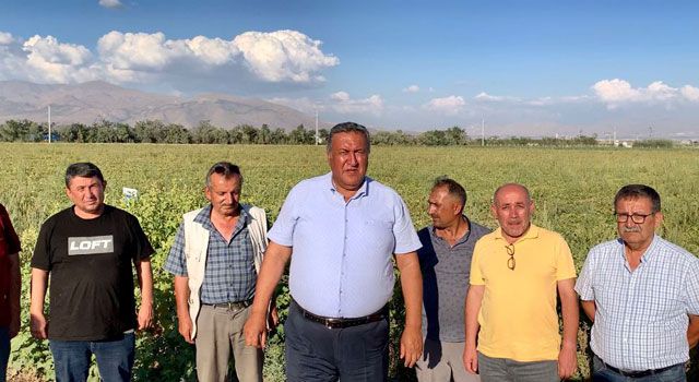 Gürer: “Domates Üreticileri Ekonomik Çöküş Yaşıyor”