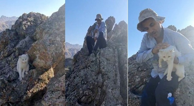 Hakkaride 2 gündür kayalıklarda mahsur kalan kedi kurtarıldı