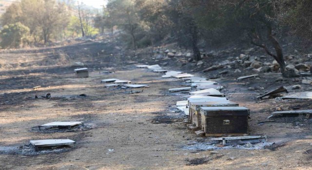 İlk kıvılcım burada çıktı, Yatağanı yaktı