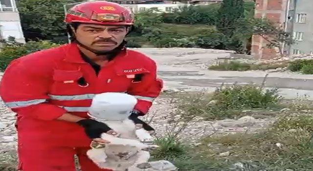 Kafası Kovaya Sıkışan Yavru Köpek Kurtarıldı