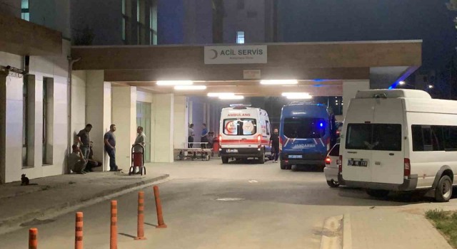 Karamanda çoban köpeğinin saldırdığı 8 yaşındaki çocuk yaralandı
