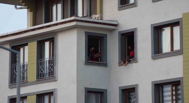 Karamanda intihara kalkışan kadını polis ikna etti