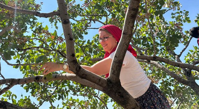 Kaya, Gaziantep’te Fıstık Üreticileriyle Buluştu: "Fıstık Üreticilerinin Yanındayız"