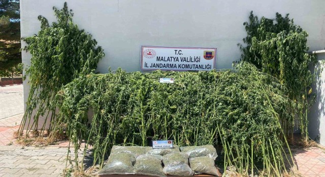 Malatyada uyuşturucu operasyonu