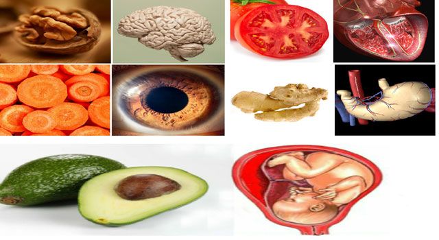 Organlara Benzeyen Mucizevi Besinler