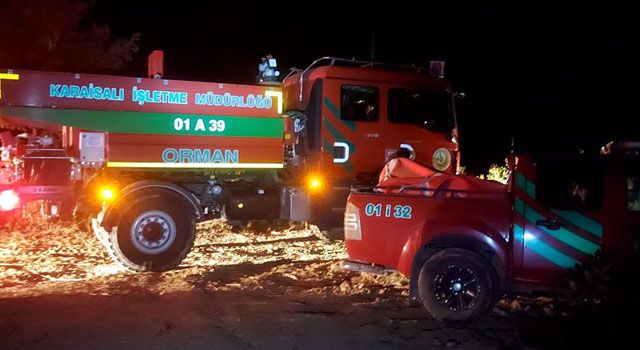 Orman Yangını Kontrol Altına Alındı