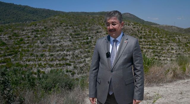 Osmaniye Valisi Yılmaz: "3042 Hektar Alan Yeşillendi"
