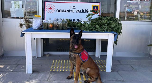Osmaniye'de Jandarma'dan Uyuşturucu Operasyonu