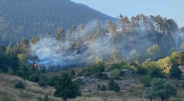 Osmaniye'deki orman yangını kontrol altına alındı