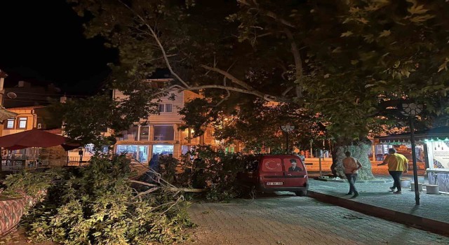 Park halindeki aracın üzerine ağacın kırılan dalı düştü