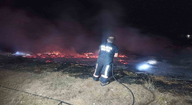 Tonlarca kayısı odunu yangında kül oldu
