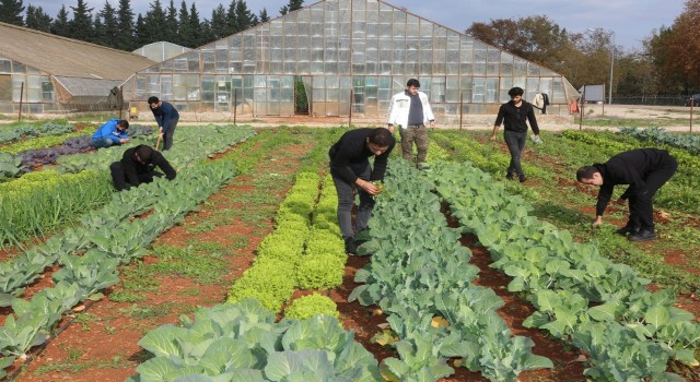 Türkiyenin en çok tercih edilen Ziraat Fakültesi AÜden