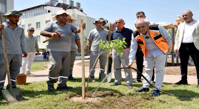 Yenilenen parka ilk ağaç fidanı Kocagözden