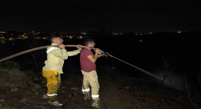 Alanyadaki makilik yangını söndürüldü