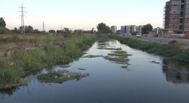Antalyada kanal kenarında erkek cesedi bulundu