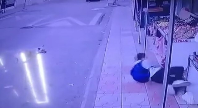 Başıboş sokak köpeğinden kaçtı düşüp markete sığınarak kurtuldu