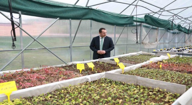 Başkan Ekim: Akçaabat tarımın merkezi olsun istiyoruz