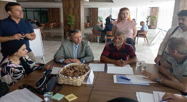 Çanakkalede Romanların sorunlarına bölgesel çalıştayla çözüm arandı