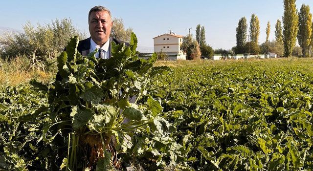 CHP Milletvekili Gürer: Şeker Pancarı Fiyatları Çiftçiyi Memnun Etmedi
