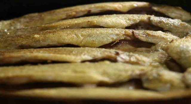 Gümüşhanenin alabalık tesisleri gastronomi turizmine can veriyor