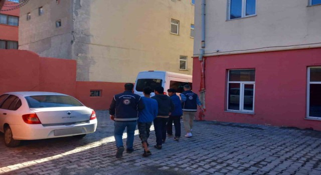 Karsta 8 düzensiz göçmen yakalandı
