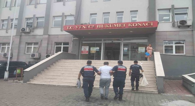 Kenevir bitkisi yetiştiren baba ve oğlu tutuklandı