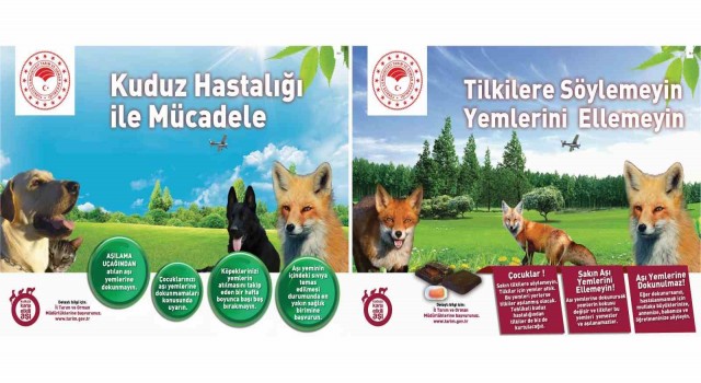 Kuduza karşı yaban hayvanlarının aşılama çalışmaları devam ediyor