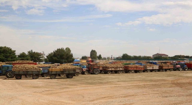 Muş ekonomisine 2 milyar 500 milyon lira katkı sağlayacak şeker pancarı alımı başladı